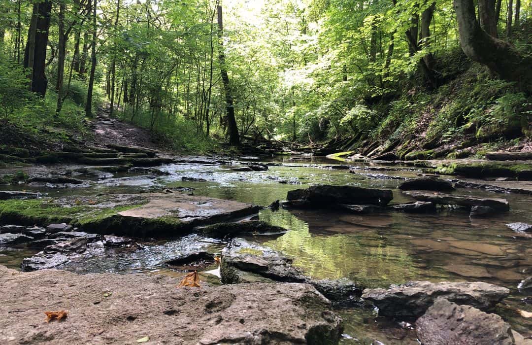 Photo of East Fork State Park